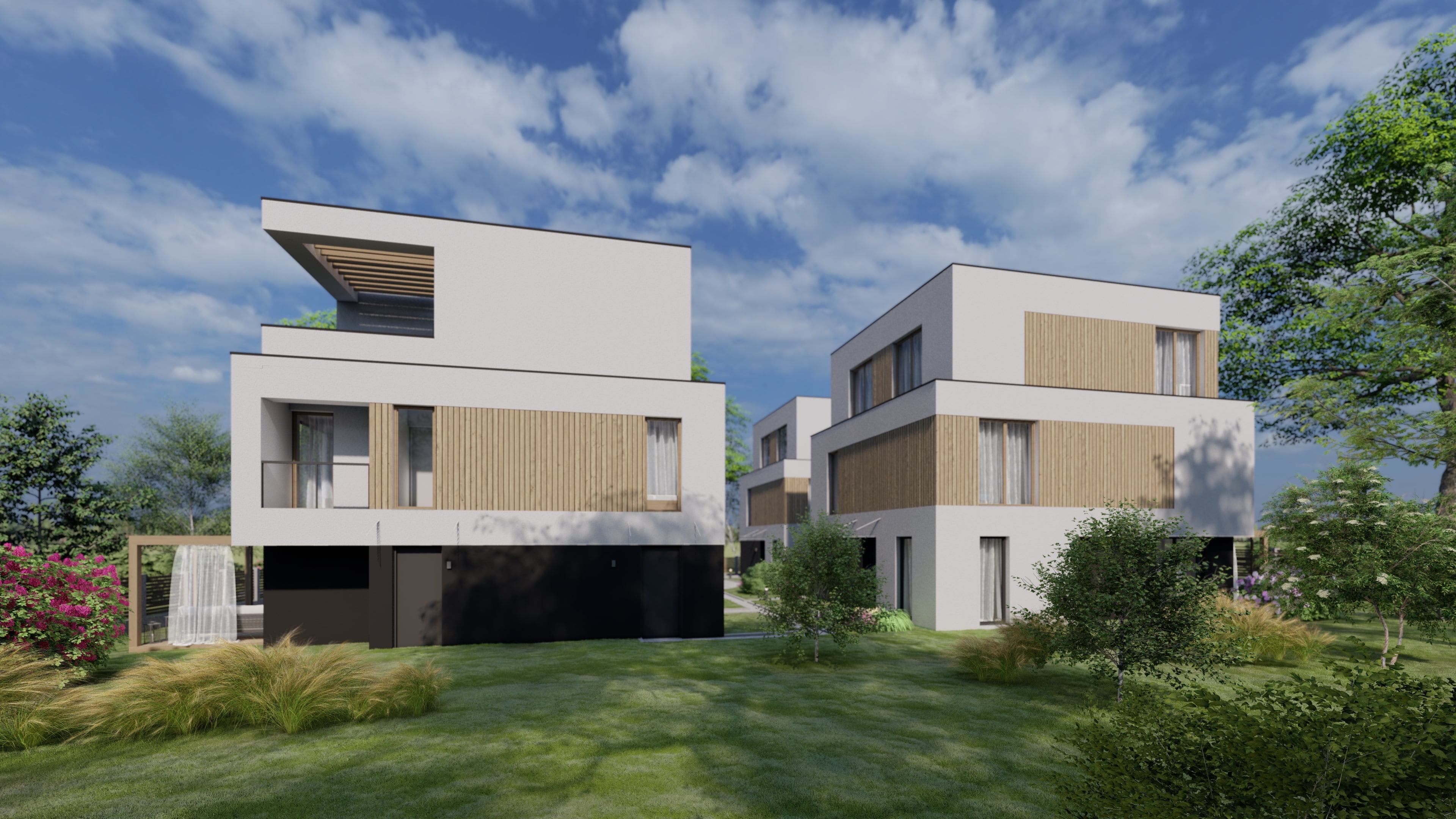 Image 7 (1)